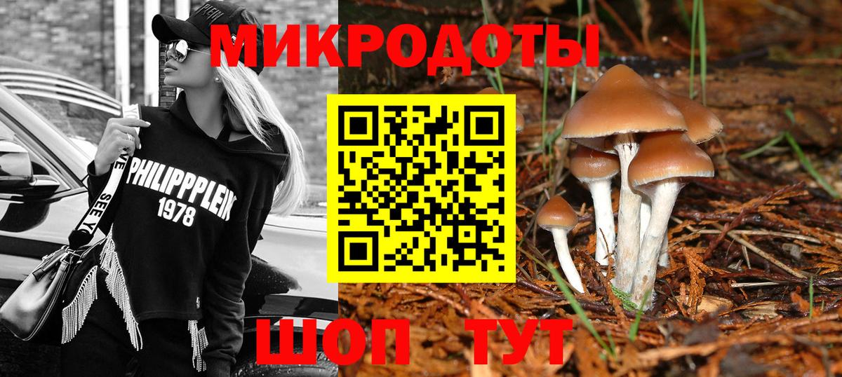 Псилоцибиновые грибы MAGIC MUSHROOMS Менделеевск
