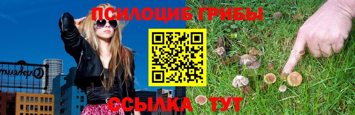 Менделеевск  дарнет шоп  Вход с VPN  Псилоцибиновые грибы мицелий 